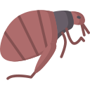 Fleas Icon