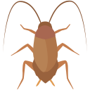 Roaches Image Icon