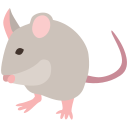 Rodents Image Icon